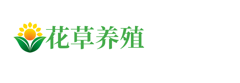 嵩县聚源竹炭提纯有限公司 | 专注竹炭提纯与配套技术服务