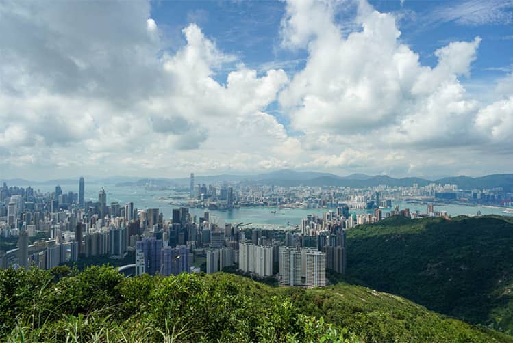 恩佐平台官方网站图片